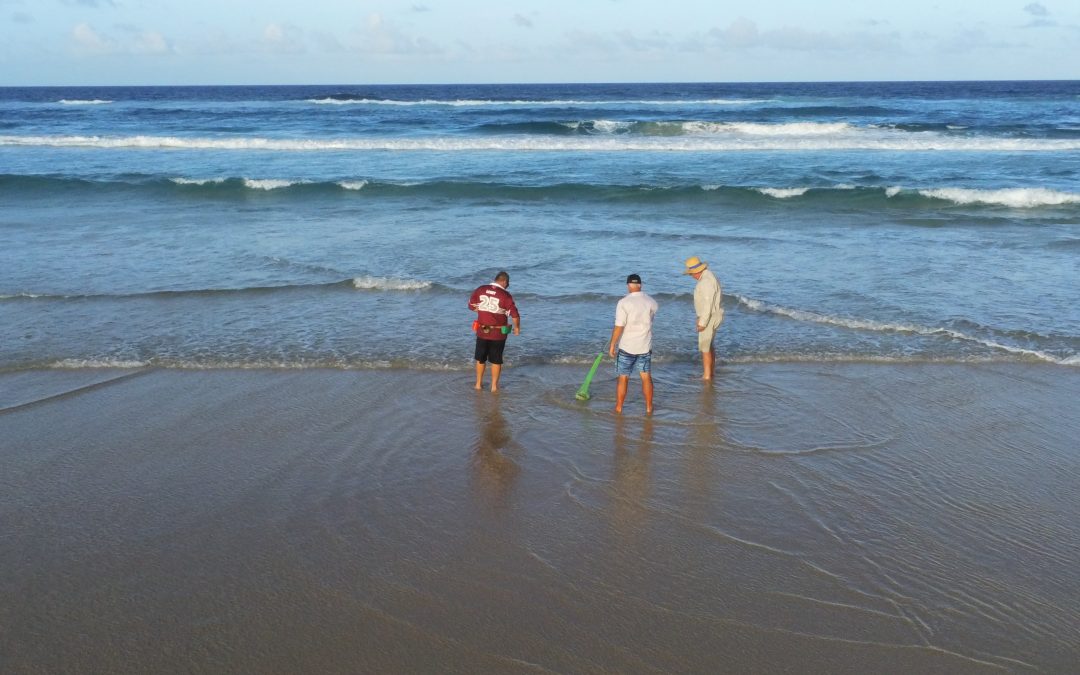 Marloo Blue-February 19